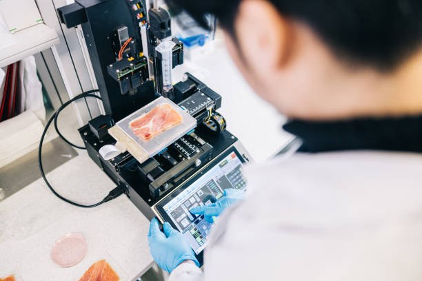 Zero Defect Body-in-White: 3D Full-Size Inspection Cuts Rework by 90%